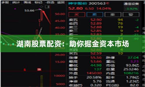 湖南股票配资：助你掘金资本市场